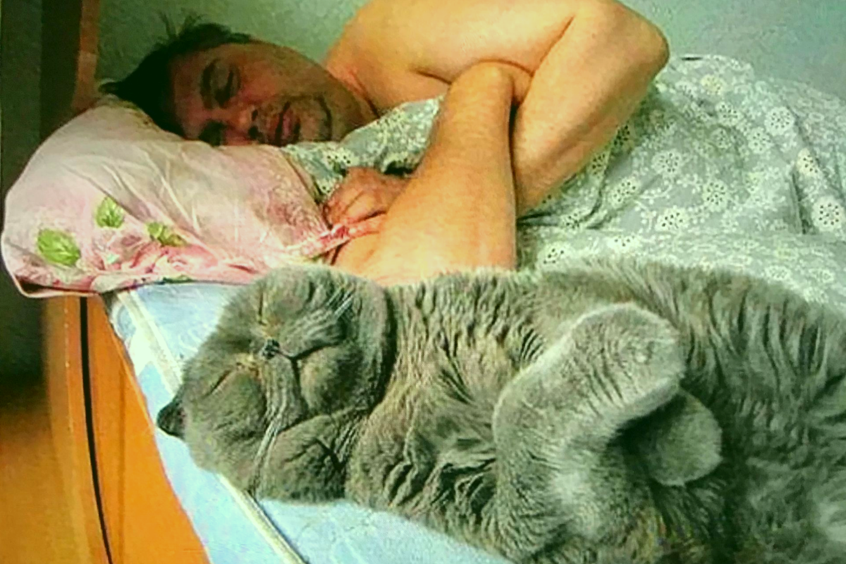 Иди спать мужу. Кот дрыхнет.