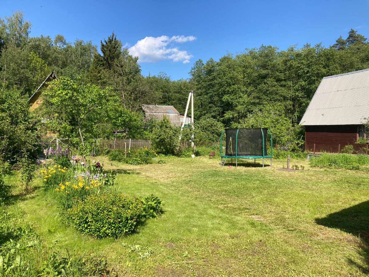 Других соседей дети мои не беспокоят или у них наглости не хватает предложить мне моих детей убрать подальше