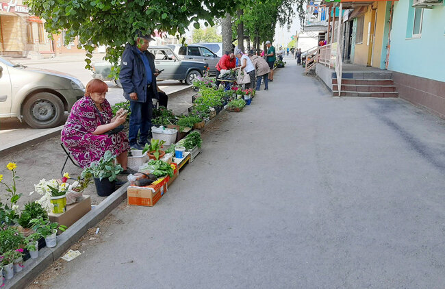 Уличные продавцы и рады бы переехать на законное место, но пока им никто его не предложил
