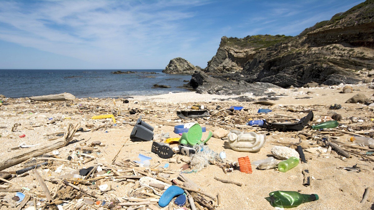    Насколько велик вред от загрязнения пластиком