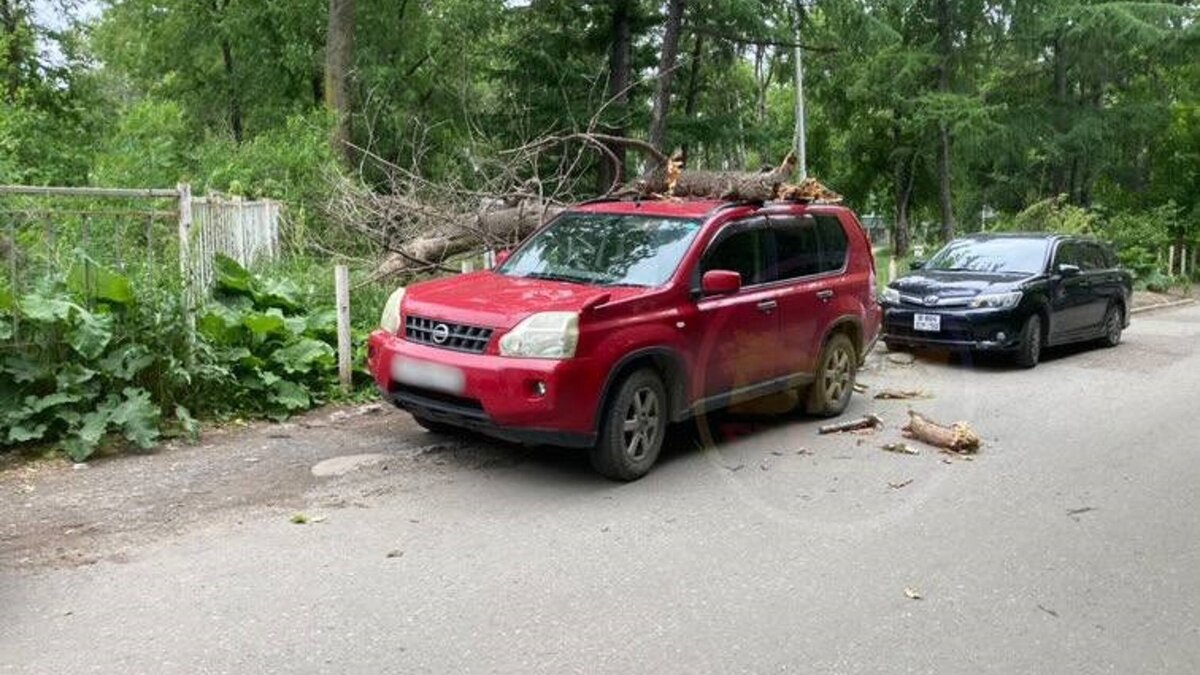     На Гамарника дерево рухнуло на припаркованный во дворе красный джип. Судя по всему, авто получило серьёзные повреждения.
