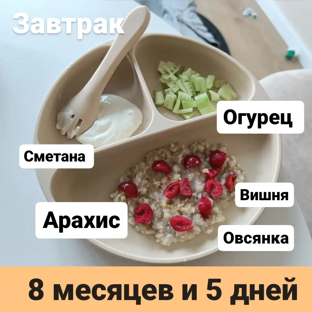 Пример тарелки в 8 месяцев 