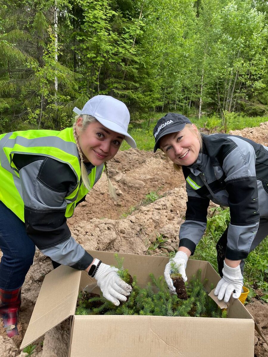 росгвардия сажает деревья. в пермском крае высадили. сбор на озеленение территории. в пермском крае высадили. озеленение пермского края.