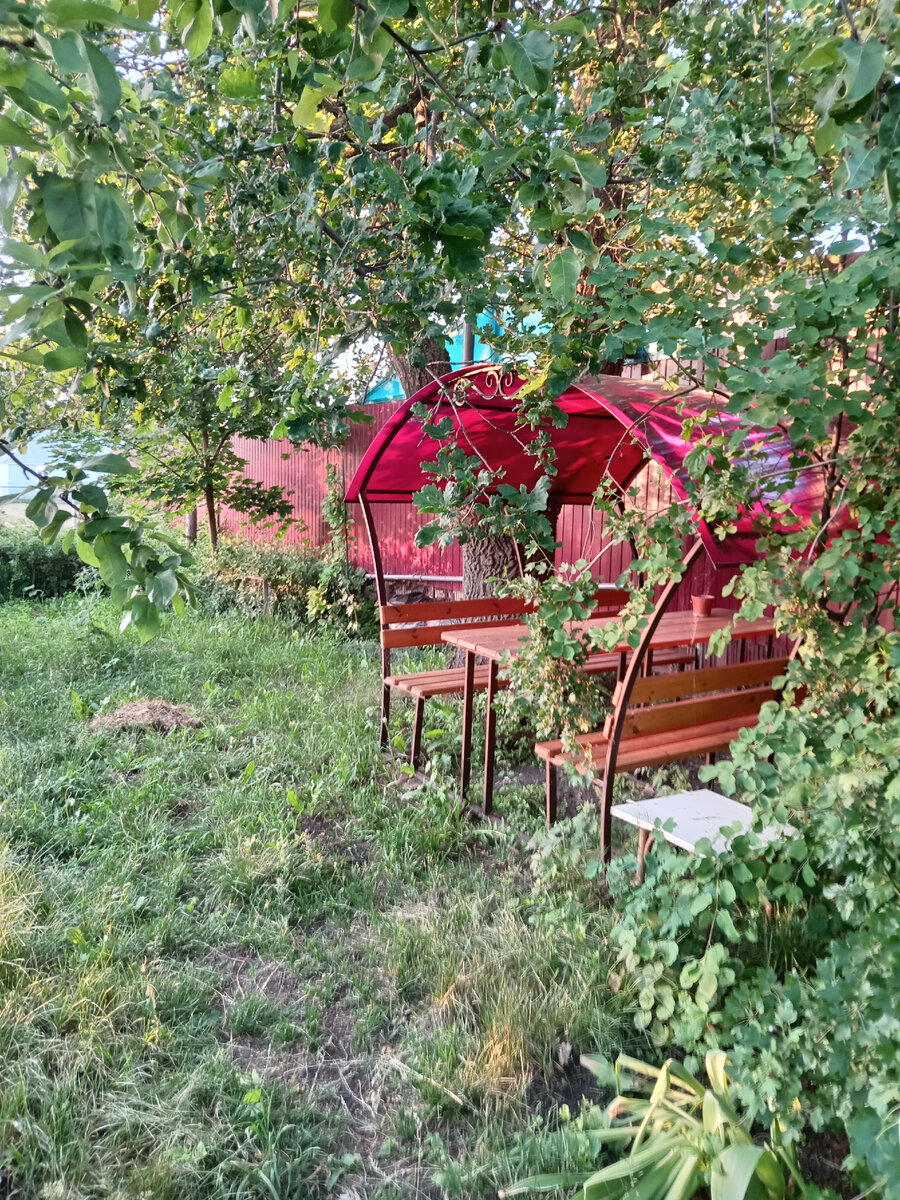 За беседкой дуб сажала бабушка мужа и он, когда был маленький. После смерти бабушки дуб болел, еле выходили. После смерти мужа, тоже болел. У деревьев тоже бывает рак. Но мы его выходили с золовкой, хотя обычно шансов нет. Вот хоть верьте, хоть нет