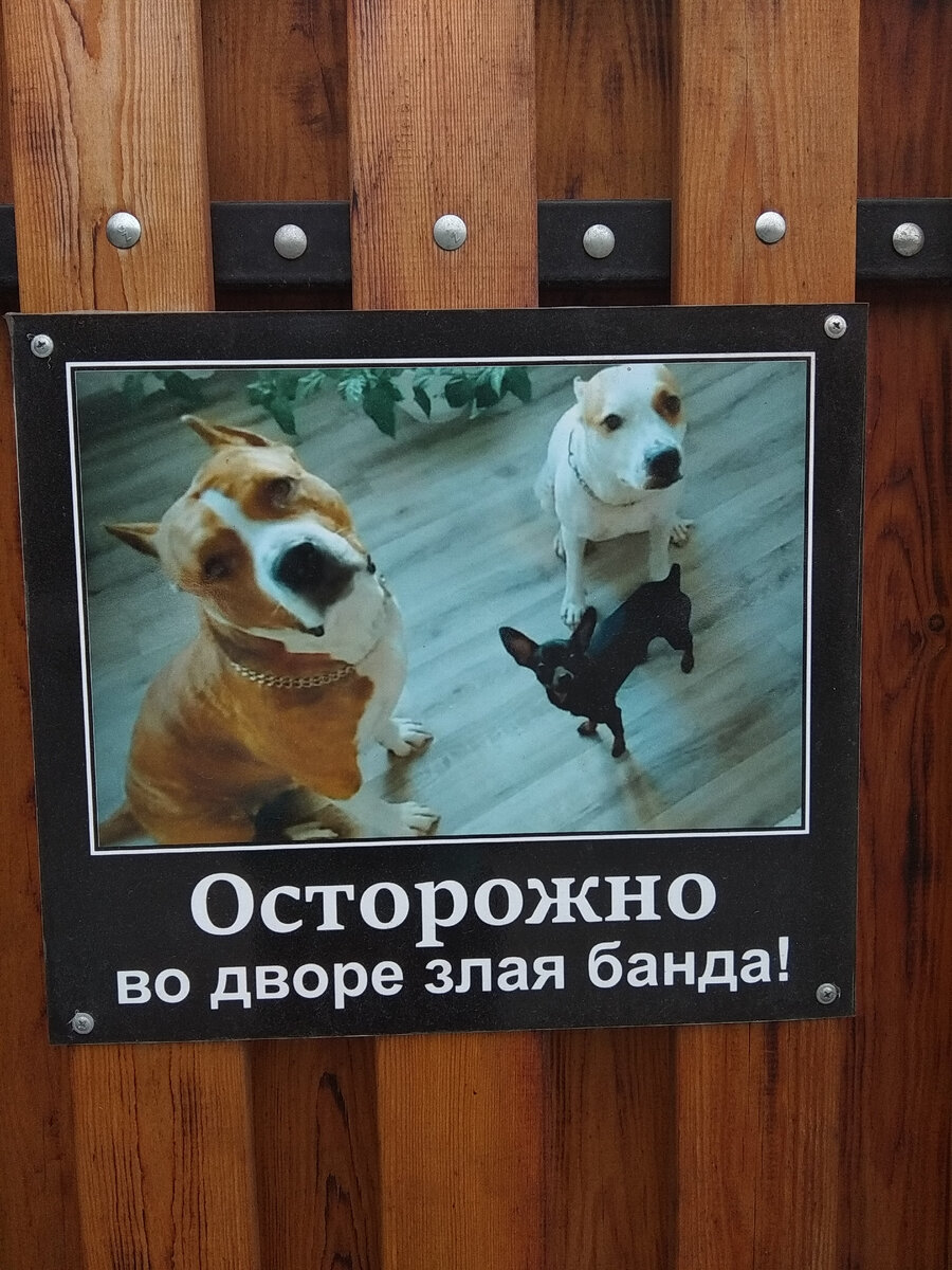 Вот такую красоту увидели по дороге)))