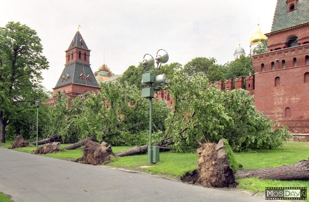 из интернета