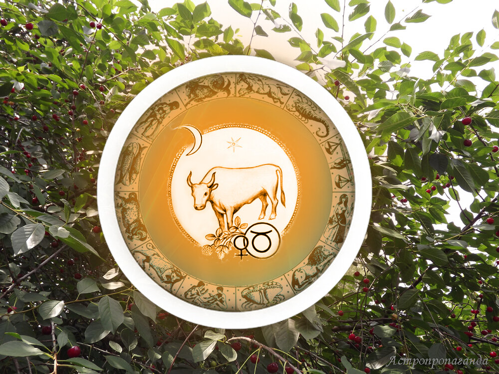 Коллаж Нины Стрелковой. 