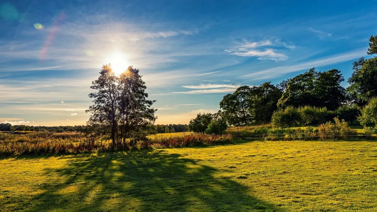 Вспышки хаотично взрывают солнечную плазму. Фото: pxhere.com