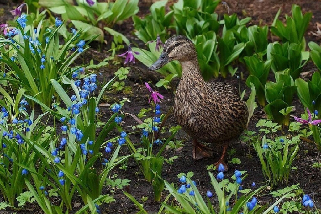 Фото: Владимир Габов