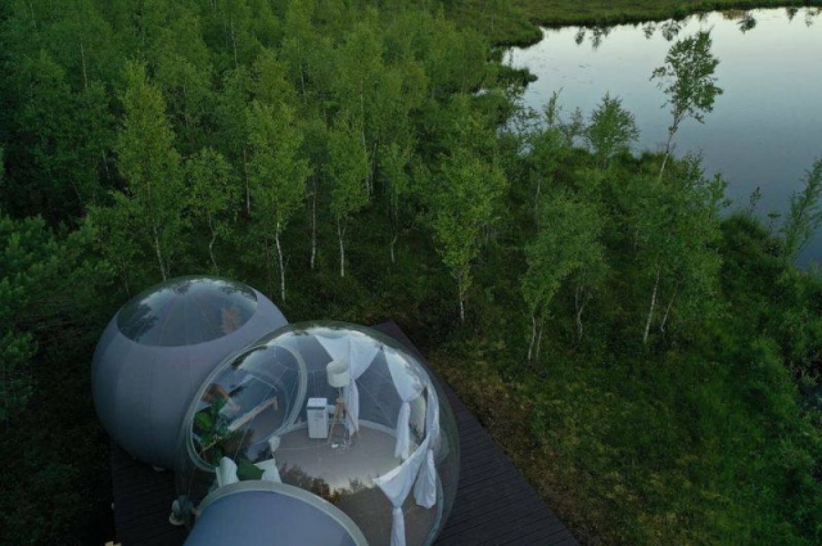    На землях лесного фонда в Ленобласти создадут туристические объекты