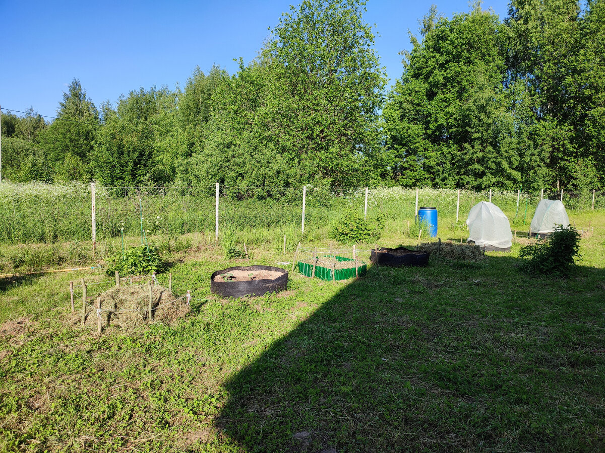 Вот так в ряд у меня пять стожков и четыре тканевые грядки. На фото одна из грядок еще не доделана и виден зеленый бордюр.