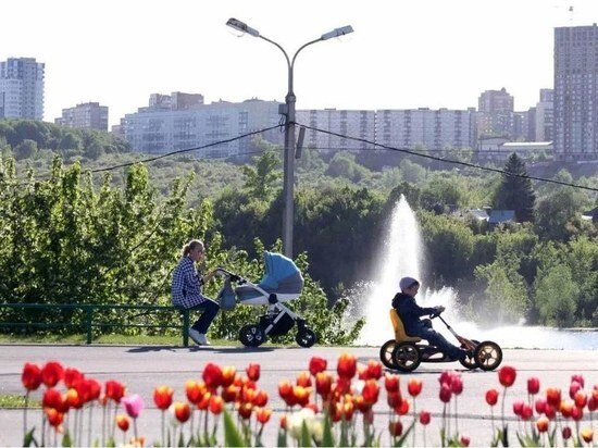     архив МК