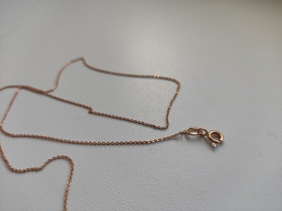 ФОТО: МК В ВОЛОГДЕ 