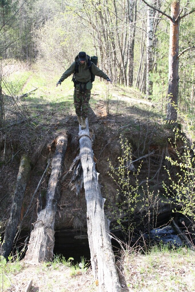 Ходили по бревну над обрывом