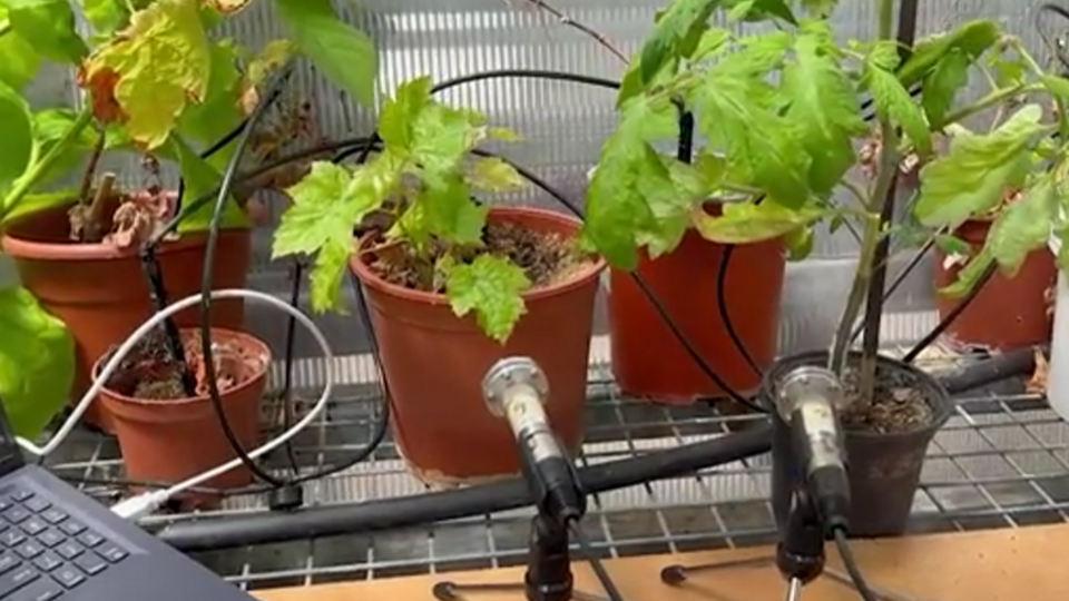 Фото: © скриншот видео