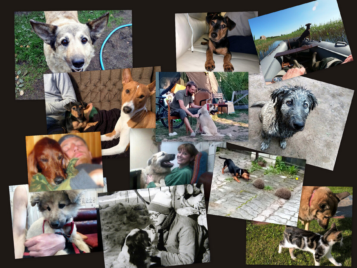 Вот они все, разные и очень любимые...