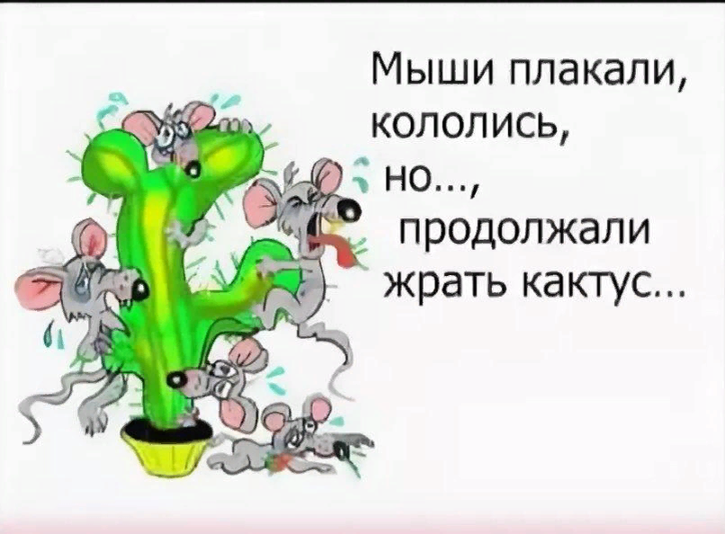 Ежики плакали кололись но продолжали есть кактус картинки