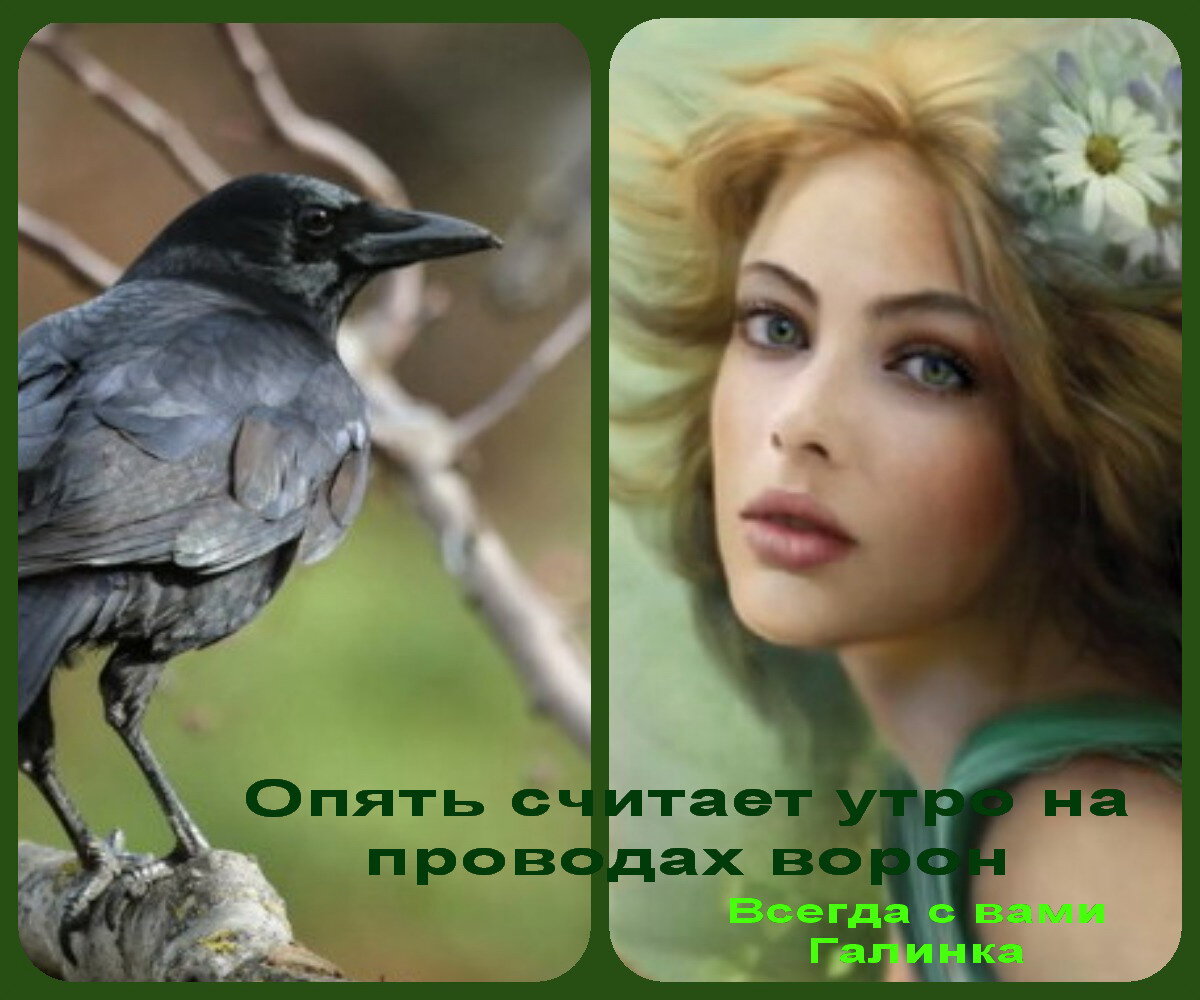 И меня посчитали. Опять считай. В совке хорошо. Че опять волк. Опять считай.