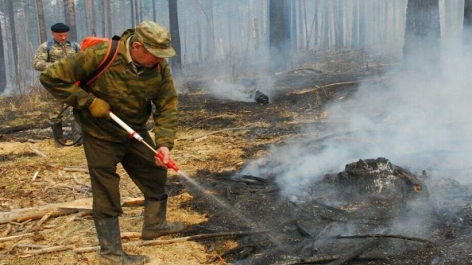     В ряде районов региона действует особый противопожарный режим