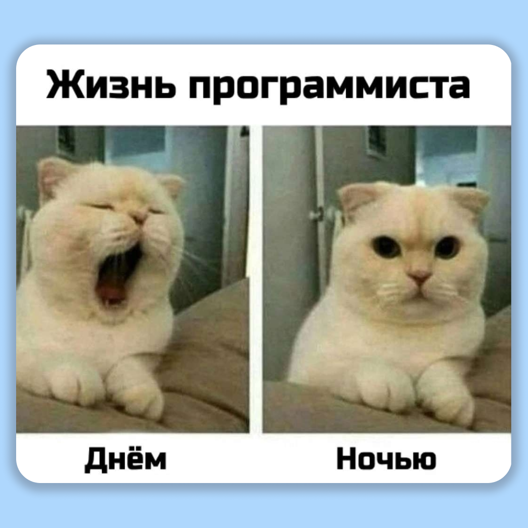 Подборка мемов из IT, которая поднимет вам настроение😂 ...