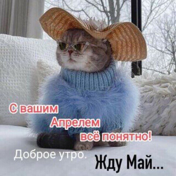 Из интернета