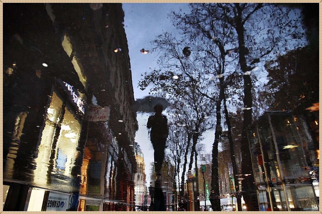 © Кристоф Жакро (Christopfe Jagrot)