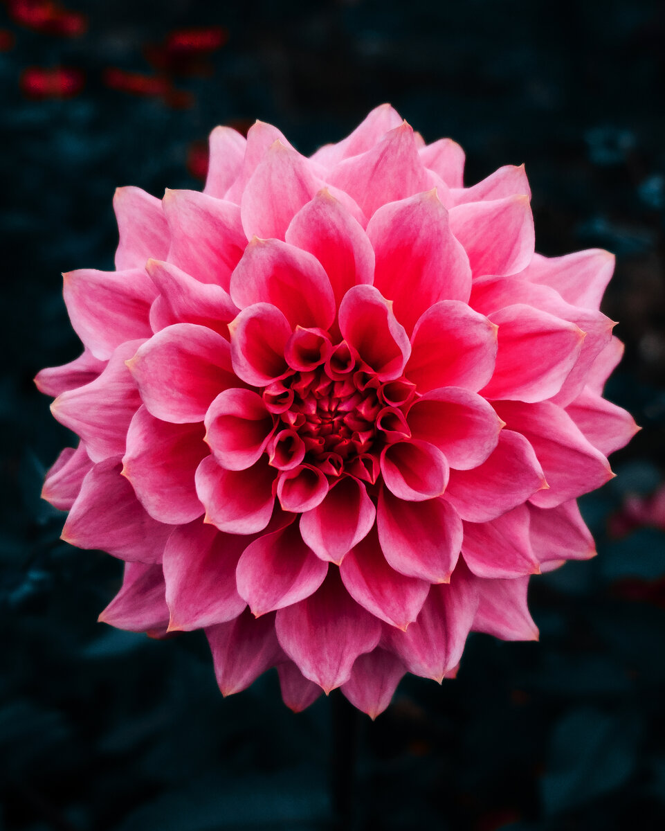 Наталья и Антон. Часть 2.