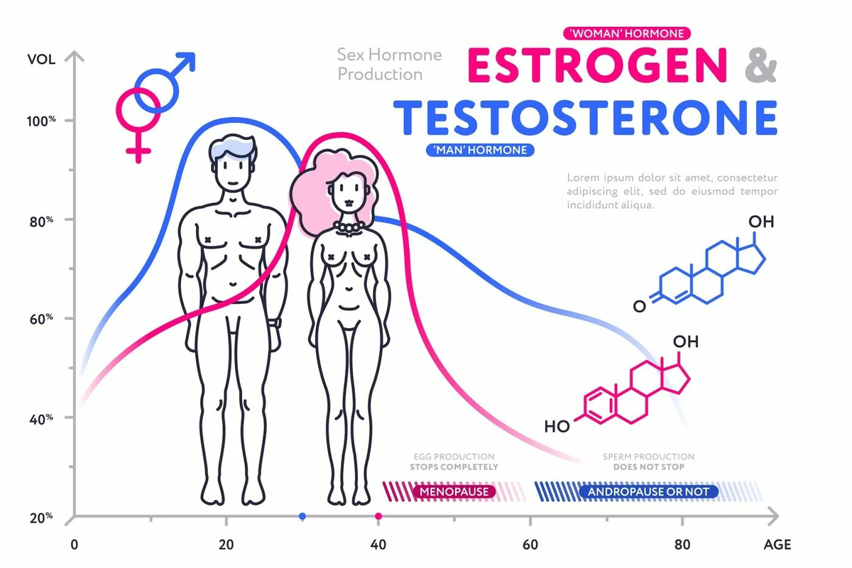 как тестостерон влияет на размер члена фото 6