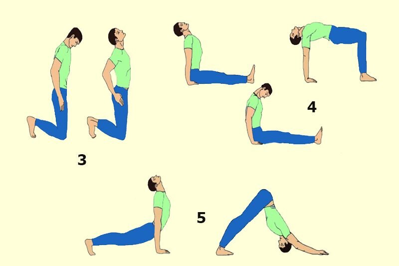 Правила перекусов
