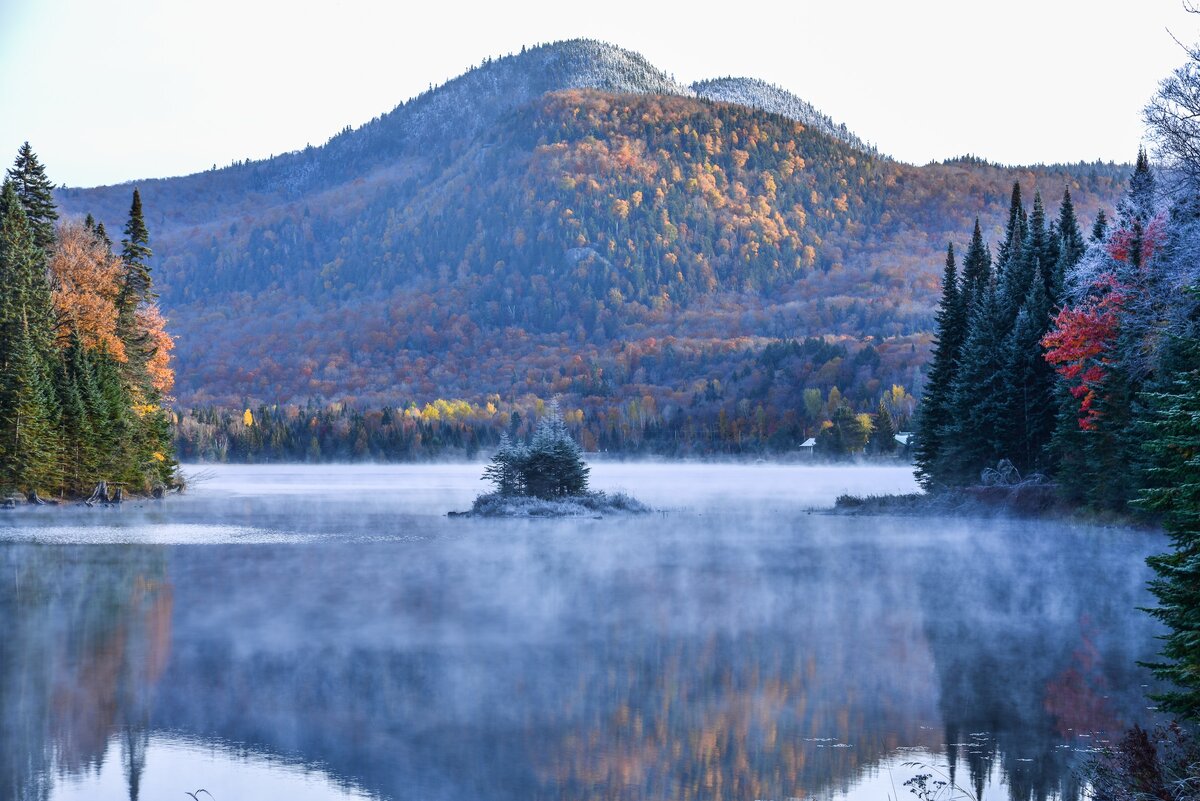 Фото с бесплатного фотоистока https://unsplash.com, автор Nunzio Guerrera