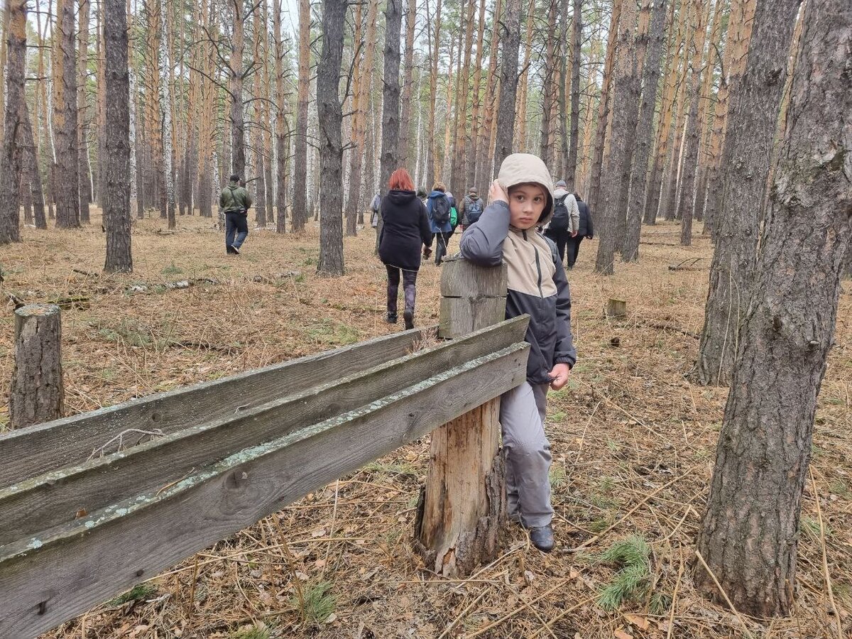 Как я искал оленьи рога в сибирском лесу: познавательная экскурсия с ученым