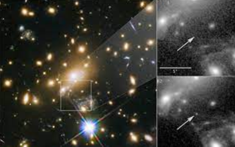 Изображение взято из открытого источника