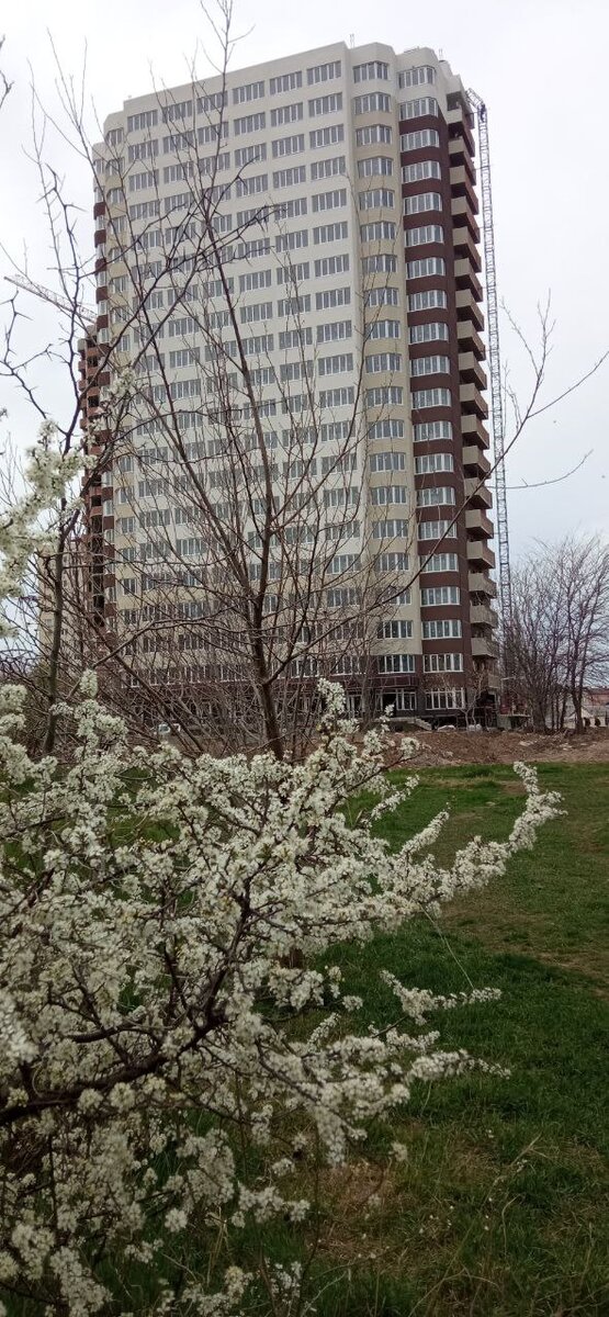 Так выглядит готовое здание первого корпуса.