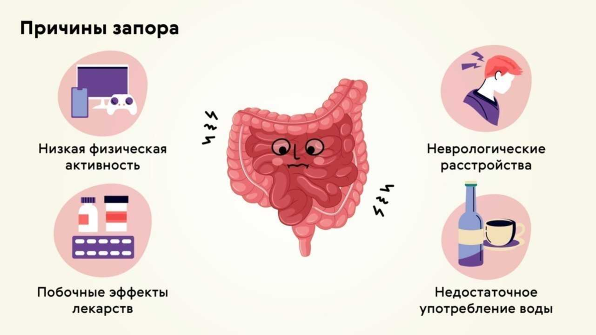 Почему начался запор. Причины запора. Причины возникновения запоров. Запор симптомы. Основная причина запора.