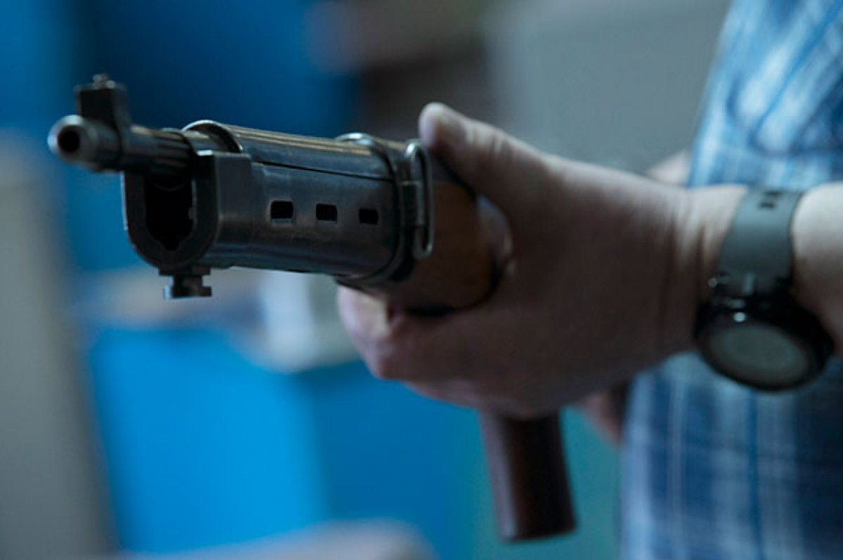    Вице-губернатора Петербурга застрелил гражданин Израиля