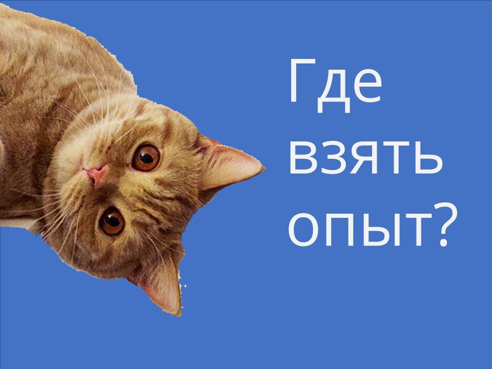 Нет работы. Где получить опыт. Где получить опыт. Геншин опыт искателя приключений. Мне интересно откуда берутся люди с опытом работы.