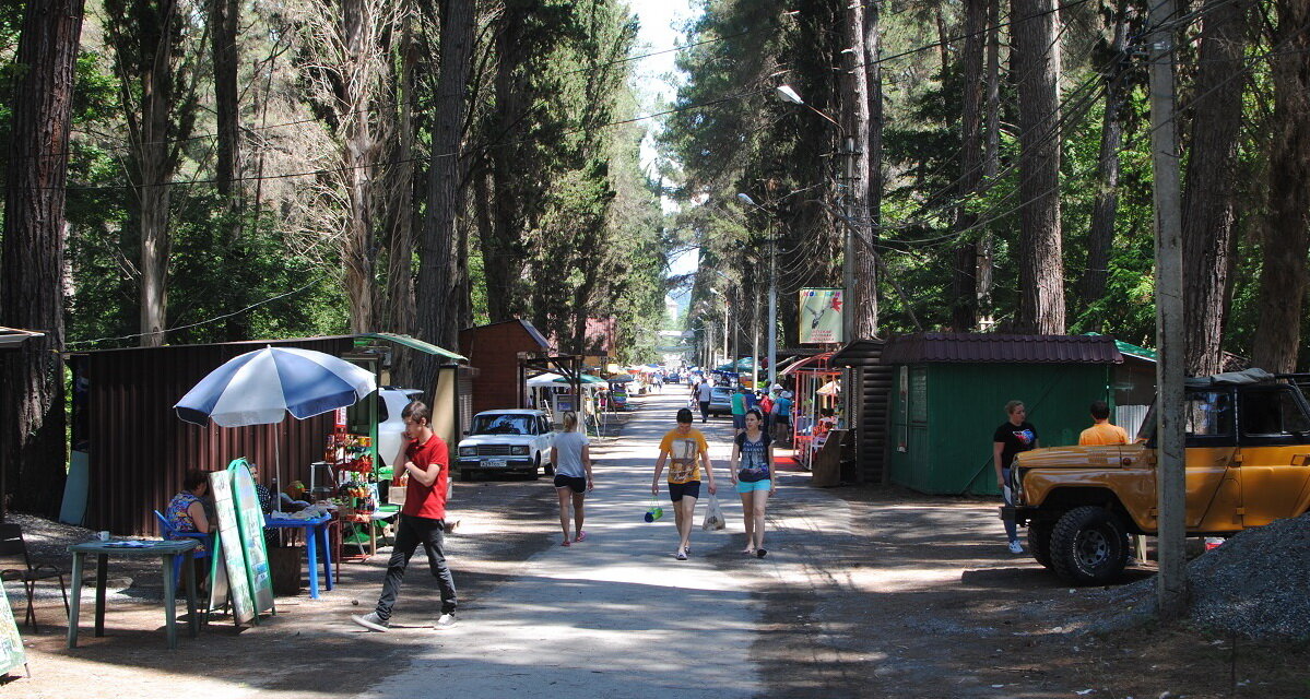 Пицунда фото кипарисовая аллея