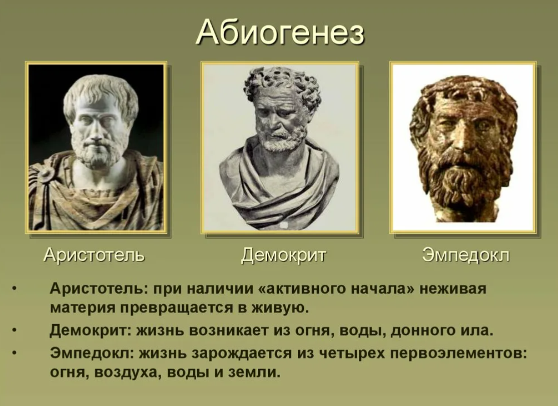 Философия демокрита и аристотеля. Эмпедокл Демокрит Аристотель. Абиогенез теория зарождения жизни. Аристотель абиогенез. Теория зарождения жизни Демокрита.