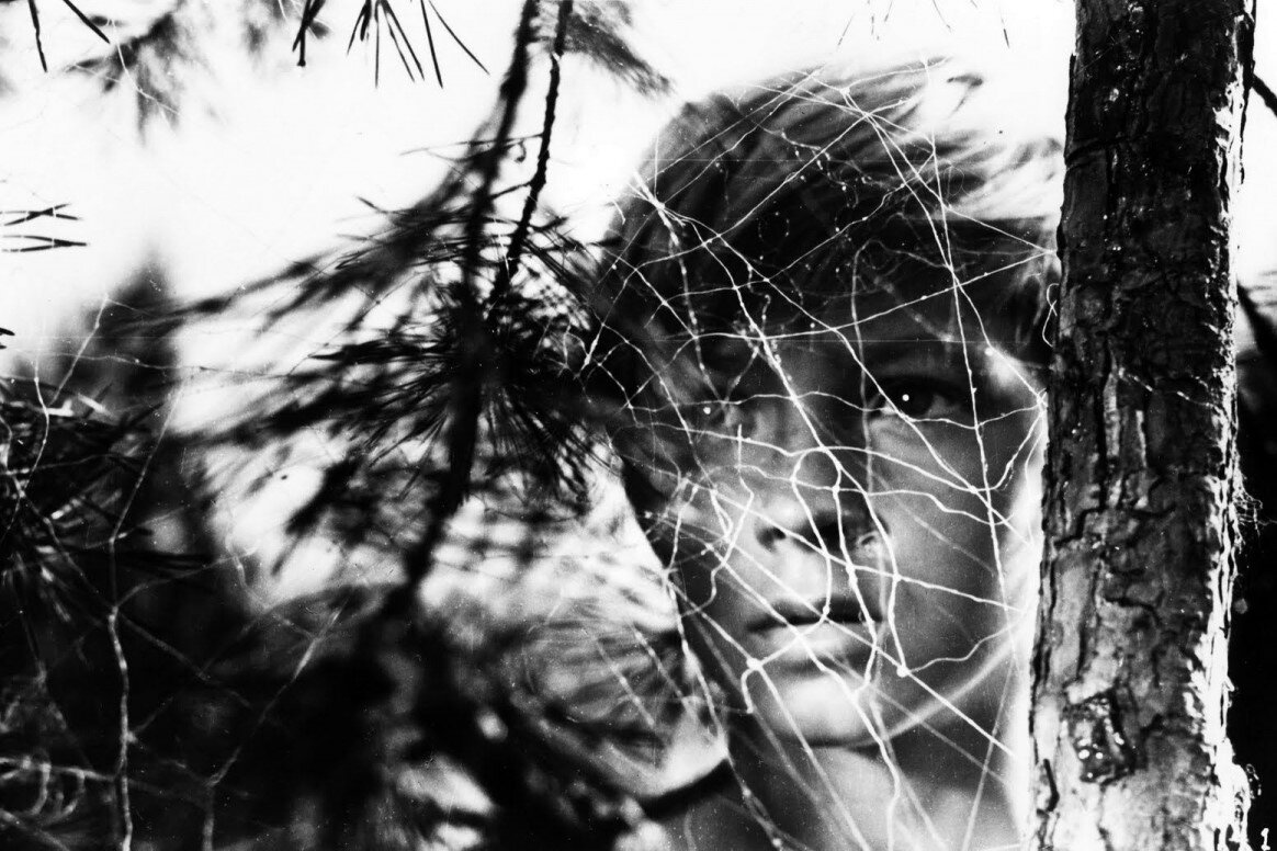 Кадр из фильма «Иваново детство» (1962)