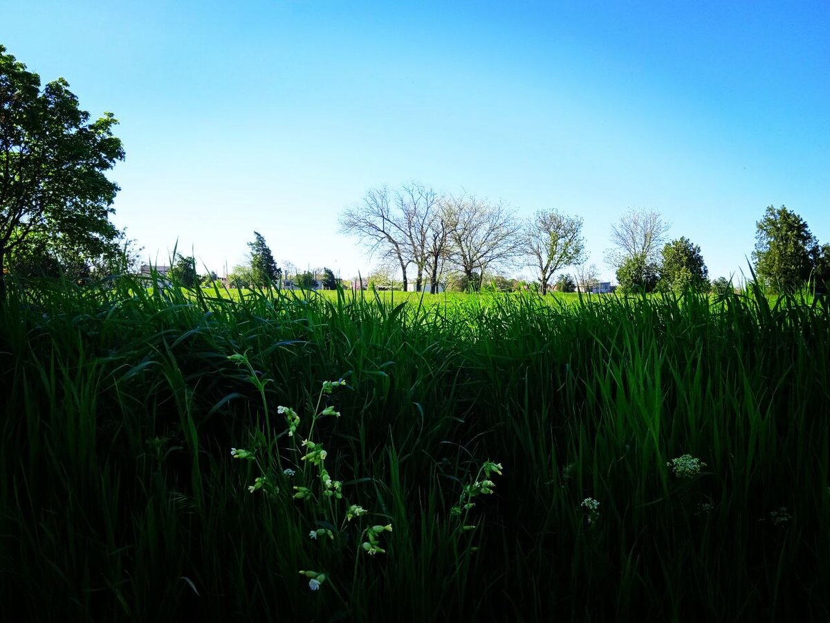 Фото из личного архива