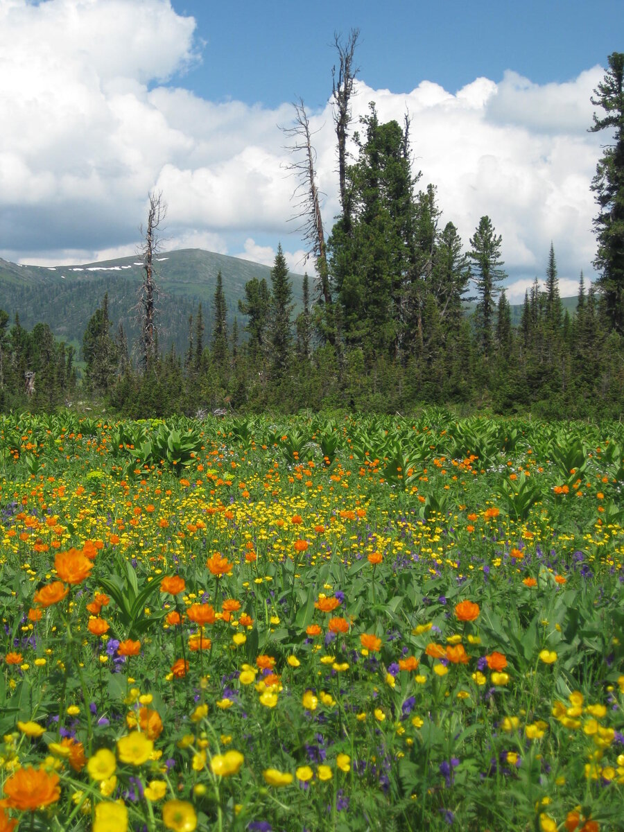 Фото: Татьяна Викторова