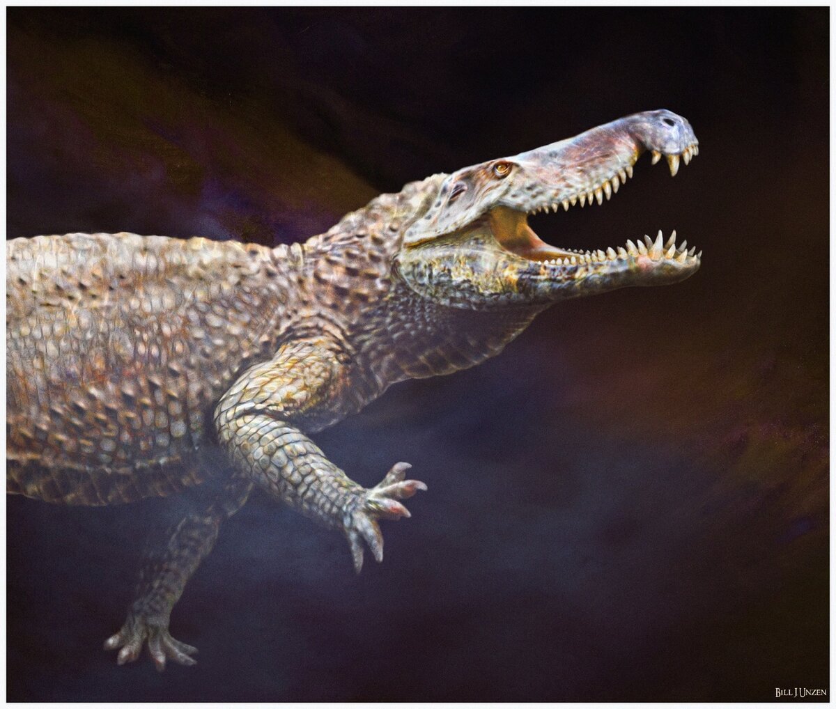 Когда идёшь в Европу зная, что будешь там главным.