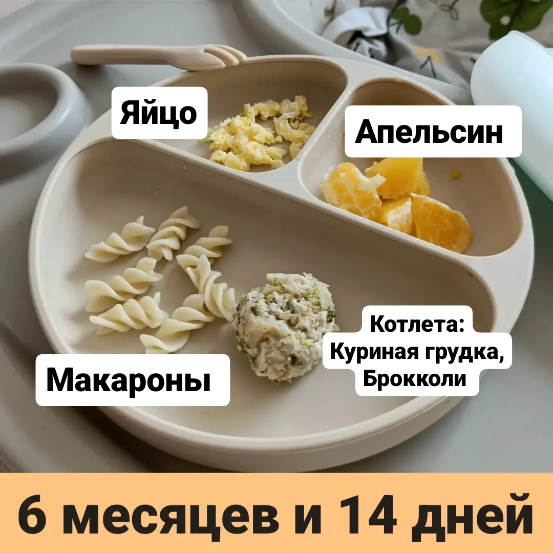 Пример прикорма для малыша в 6 месяцев 