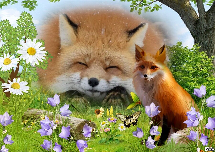 Коллаж автора