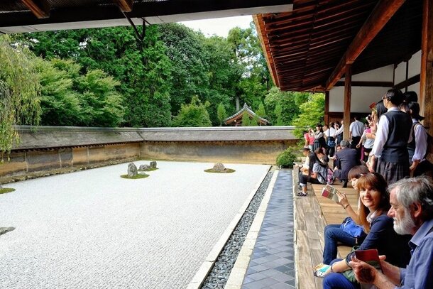 В саду камней всегда суета/ © info-globus.ru