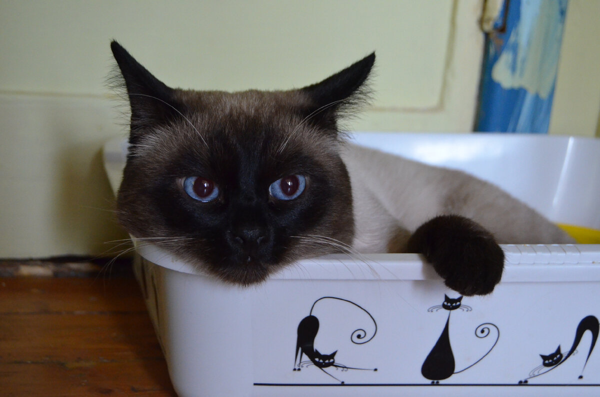 Никто меня не понимает...