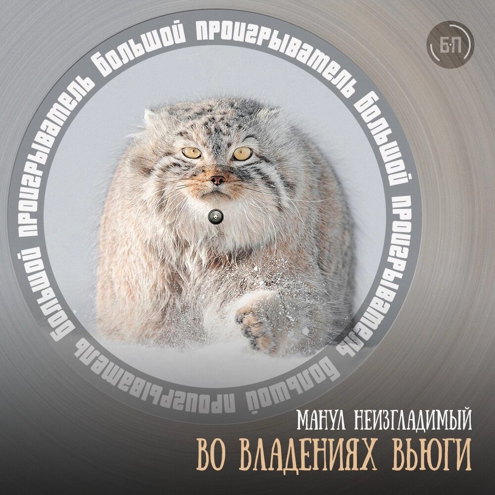 Во владениях вьюги | Большой Проигрыватель | Дзен