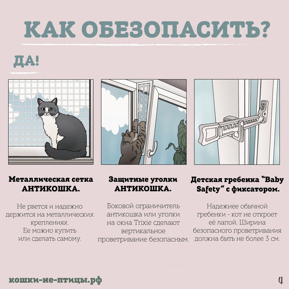 КОТИКИ - НЕ ПТИЦЫ! ОНИ НЕ УМЕЮТ ЛЕТАТЬ | Благотворительный фонд 