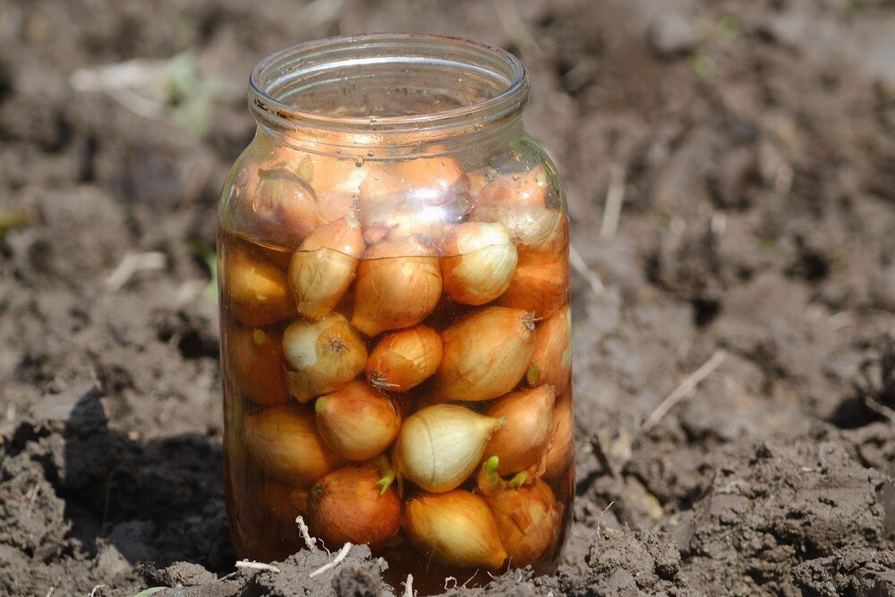    ShutterStock/Fotodom.ru