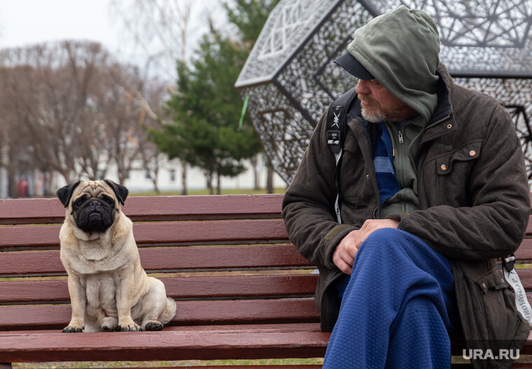    Кинологические курсы помогут защитить собаку от внешних опасностей, сказал Владимир Бурматов